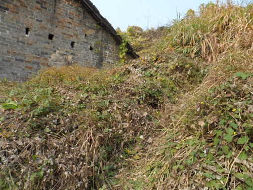 图3 上浮山村宋代龙窑遗址是 宋代南方典型的小斜坡龙窑