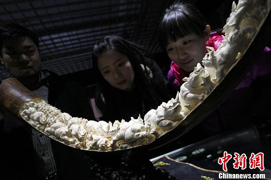 1月7日，由近千件猛犸牙雕组成的“追寻远古的记忆收藏季——猛犸象牙专场”在潘家园旧货市场举行，藏品以西伯利亚猛犸牙雕为主。中新社发 富田 摄