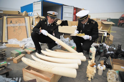 大窑湾海关查获大量象牙及象牙制品。