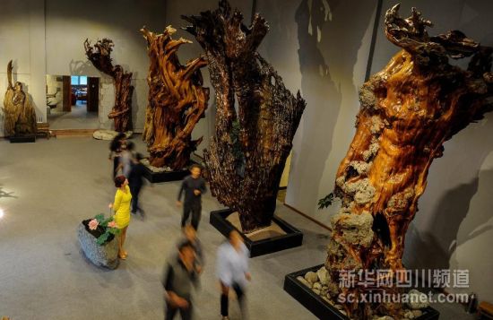 4月18日，顾客在芦山县天功根意金丝楠乌木艺术馆里参观。
