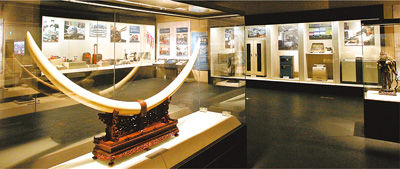 图为中国海关博物馆展示的海关查获的走私象牙。