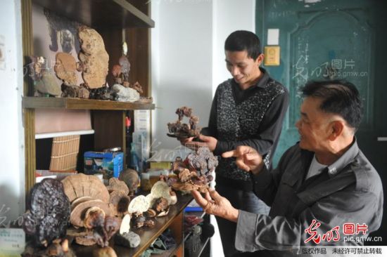 2014年1月8日，海南琼海，王国炎向来访的客人介绍自己的灵芝作品。