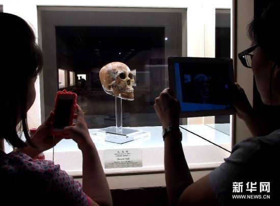 6月7日，游客在考古展上观看距今6000多年的成年男性头骨。