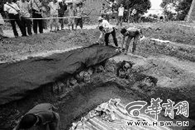 去年6月，考古人员发掘石鼓山西周墓 本报资料照片记者 赵航 摄