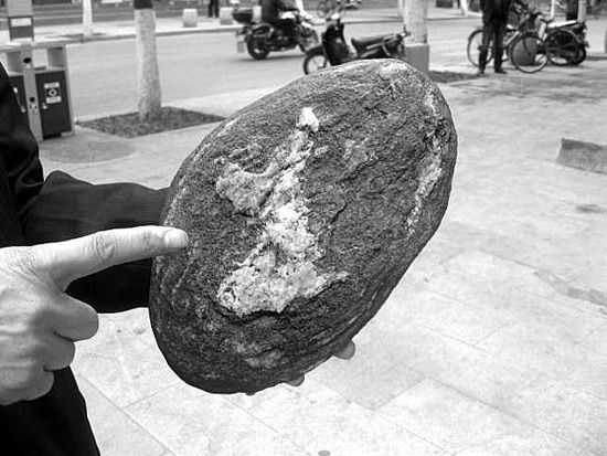 市民捡到一块奇石