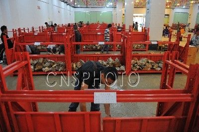 云南龙陵黄龙玉公盘交易会上，来自中国各地的玉石商人正查看黄龙玉石毛料。