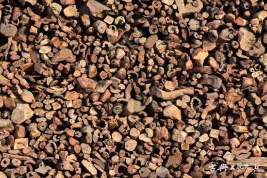 在仙游的一个红木厂里堆积着如山的红木原材料