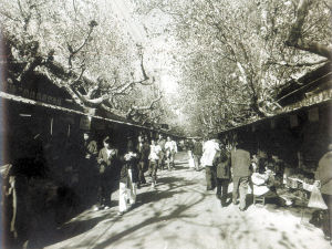 甬道街“花鸟市场”。 廖可夫摄于1986年