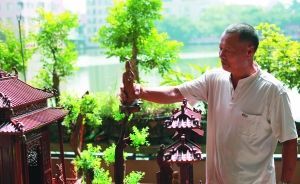 “木雕巧男”刘金泉介绍自己制作的乞巧作品。　　信息时报记者 叶伟报 摄