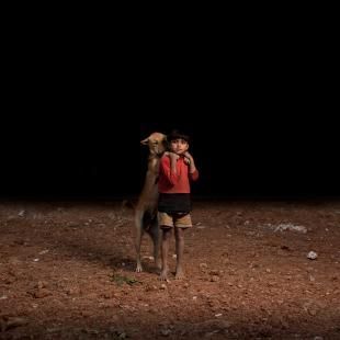 孟加拉孤儿与流浪狗不离不弃 摄影师记录