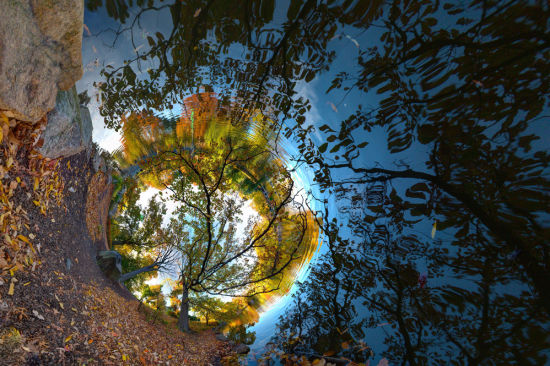 纽约中央公园的湖面上，树影斑驳 