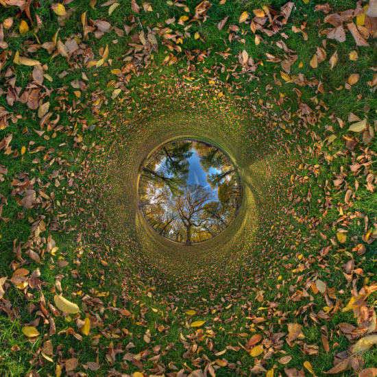 布满落叶的中央公园瞬间变成了一个离奇的虫洞