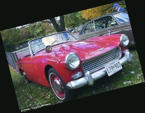 这是1962年生产的奥斯汀汽车原版，索雷拉买到可谓“超值”。