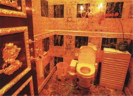 世界上昂贵的“金厕所 ”：方便一次3000元，仅限3分钟