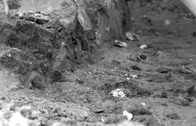 考古现场挖掘出石器、陶器、贝壳等物品
