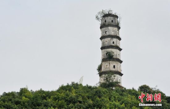 8月17日拍摄于江西省德兴市黄柏乡尚河村的历经500年不倒的半边古塔。