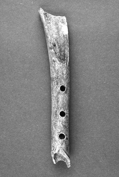 藏品名称：驯鹿骨笛残片      制作年代：大约公元前1.9万年      剩余长度：16.53厘米      材    质：驯鹿的骨骼      来    源：考古发掘      出土时间：1994年