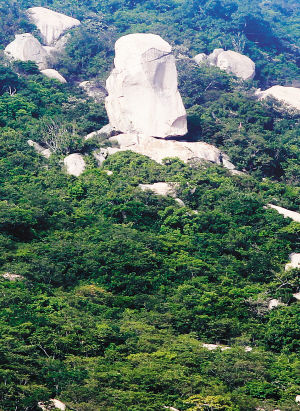 昌化岭上被称为“峻灵王”的奇石。