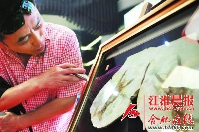 昨日，宝利丰广场，一市民拿着专业工具观看龙虾化石。记者 李福凯 摄