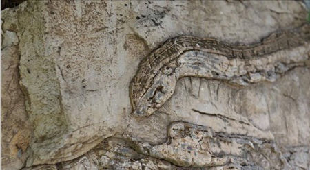 河北兴隆县发现一距今14亿年前蛇形奇石