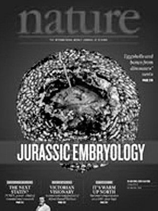 云南发现最古老恐龙胚胎化石