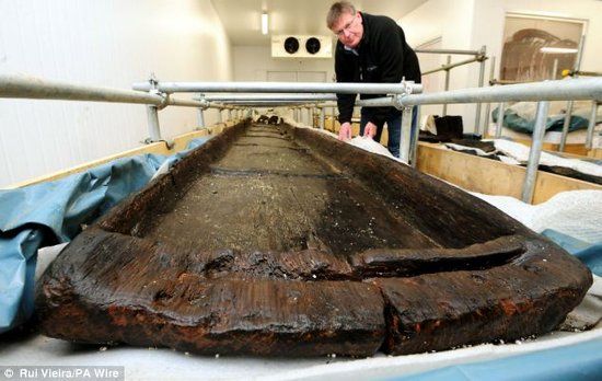 约克考古信任基金会伊恩-潘特正在检查其中一艘青铜器时代木舟，它们挖掘发现于加拿大彼得伯勒地区，被认为是3500年前用于运输货物和乘客