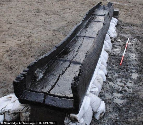 考古学家从泥潭中挖出木舟仍保持着潮湿状态