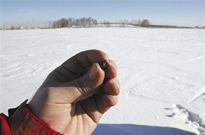 17日，俄罗斯，科学家在切巴尔库利湖附近发现15日坠落的陨石碎片。俄罗斯科学院陨石委员会成员称，陨石属于普通球类陨星，铁含量约10%。