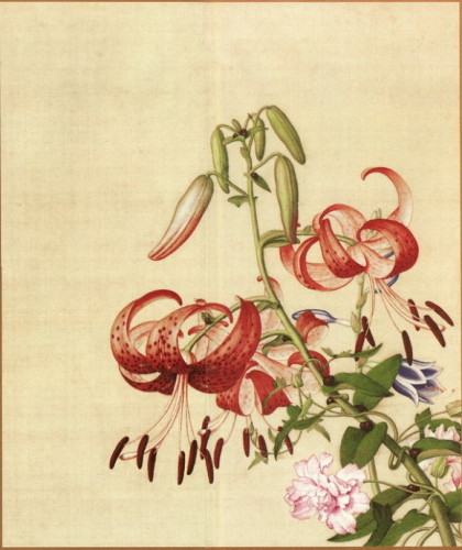 仙萼长春图册11