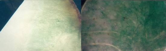 天然次生油青翡翠（左）和染色翡翠（右）颜色都为丝网状分布特征