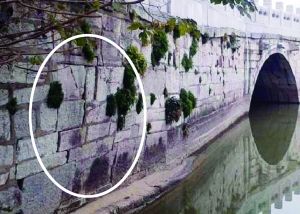 裂缝最宽的有1厘米(南京市文广新局提供)