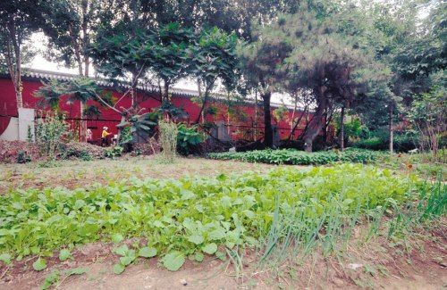 明故宫铜牌消失引反思：文保单位保护不善亟待解决