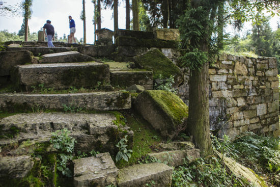 长满青苔的新王宫前踏道