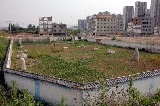 西安明秦王陵园变菜园