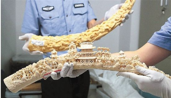 查获的走私象牙。