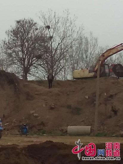 巨陵镇娄庄村书记丁丙申在现场指挥