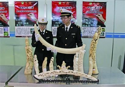 图1：海关关员查获走私象牙制品。