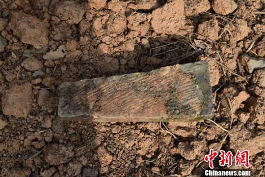 图为现场及散落的墓砖。　陕西省文物局　摄