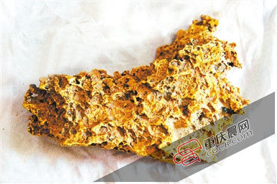 新疆哈萨克族牧民别热克·萨吾特捡到的“狗头金”。