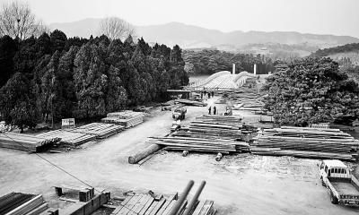 清东陵景区空地上堆着用于修缮的木材。赵亮摄