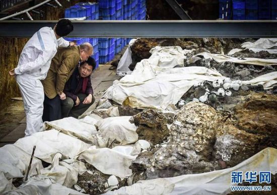 国家非物质文化遗产“水密隔舱福船制造技艺”传承人陈芳财(中)专程从福建晋江前来考察“南海一号”沉船。