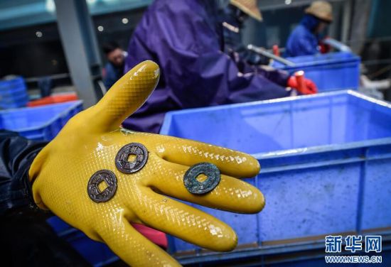 这是考古工作者对“南海一号”上清理出来的淤泥海沙等凝结物进行水洗时发现的三枚古钱。