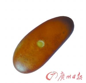 引发纠纷的皮子料