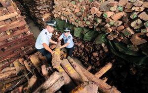 海关人员查验涉案的红木。