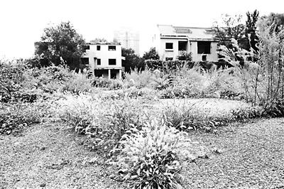 太液池遗址现在是一片荒地