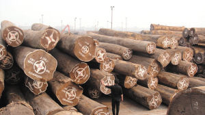 国内港口堆积大量红木原料