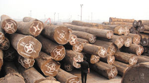 国内港口堆积大量红木原料