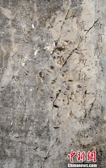 图为洛社发现的乾隆三十三年四月年间石碑局部内容。　李鸿生　摄