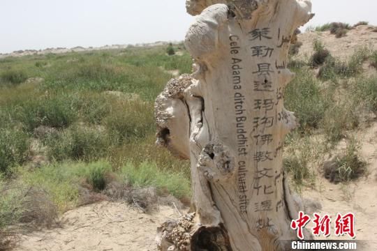 新疆策勒县达玛沟镇的达玛沟古佛教遗址群。　陶拴科　摄