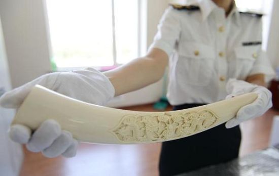 （孙磊 摄影报道）